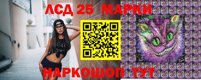 крисы Кандалакша