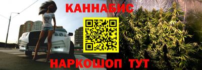 не бодяженный Камышлов