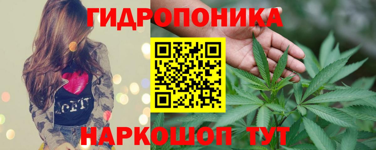 Бошки Шишки Ganja  Вход с VPN  Канабис OG Kush  Кулебаки  Бошки марихуана сатива 